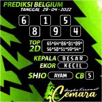 Angka Keramat Belgium, Angka Keramat Cemara