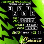 Angka Keramat Belgium, Angka Keramat Cemara